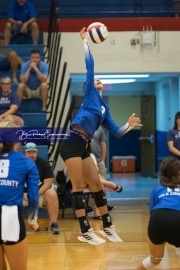Volleyball - Polk at West Henderson_BRE_9945