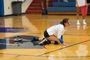 Volleyball - Polk at West Henderson_BRE_9971