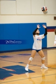 Volleyball: TC Roberson at West Henderson_BRE_0328