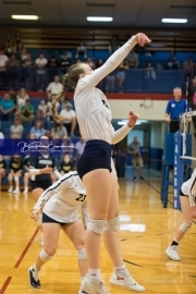 Volleyball: TC Roberson at West Henderson_BRE_0524