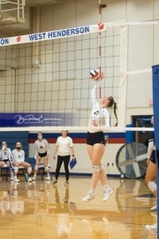 Volleyball: TC Roberson at West Henderson_BRE_0688