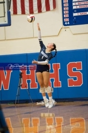 Volleyball: TC Roberson at West Henderson_BRE_0690
