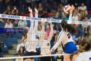Volleyball: TC Roberson at West Henderson_BRE_0815