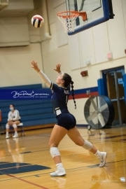 Volleyball: TC Roberson at West Henderson_BRE_0922