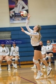 Volleyball: TC Roberson at West Henderson_BRE_0935