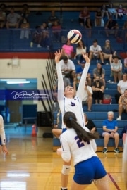 Volleyball: TC Roberson at West Henderson_BRE_0990