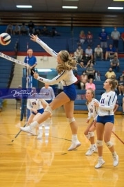 Volleyball - Franklin at West Henderson_BRE_4018