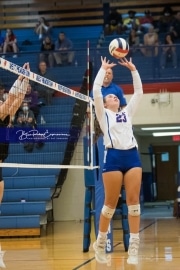 Volleyball - North Henderson at West Henderson_BRE_6399