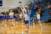 Volleyball - North Henderson at West Henderson_BRE_6504