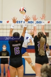 Volleyball - North Henderson at West Henderson_BRE_6629