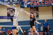 Volleyball - North Henderson at West Henderson_BRE_6638
