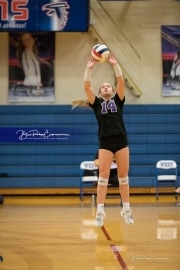 Volleyball - North Henderson at West Henderson_BRE_6660