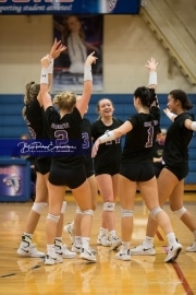 Volleyball - North Henderson at West Henderson_BRE_6673