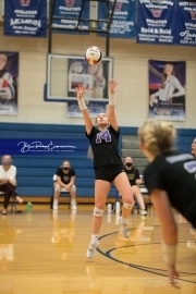 Volleyball - North Henderson at West Henderson_BRE_6675