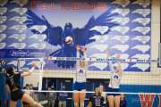 Volleyball - North Henderson at West Henderson_BRE_6702