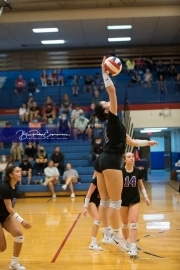 Volleyball - North Henderson at West Henderson_BRE_6734