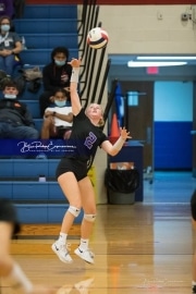 Volleyball - North Henderson at West Henderson_BRE_6744