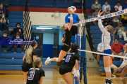 Volleyball - North Henderson at West Henderson_BRE_6768