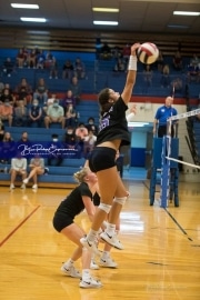 Volleyball - North Henderson at West Henderson_BRE_6831
