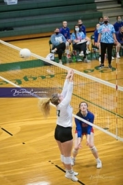 Volleyball West Henderson at East Henderson_BRE_7008