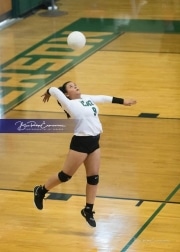 Volleyball West Henderson at East Henderson_BRE_7040