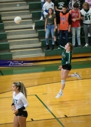 Volleyball West Henderson at East Henderson_BRE_7090