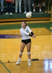 Volleyball West Henderson at East Henderson_BRE_7098