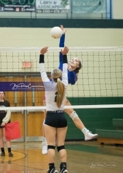 Volleyball West Henderson at East Henderson_BRE_7243