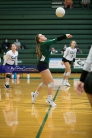 Volleyball West Henderson at East Henderson_BRE_7423