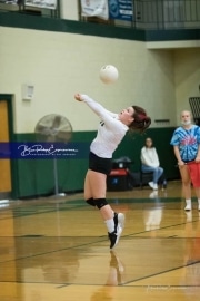Volleyball West Henderson at East Henderson_BRE_7438