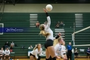 Volleyball West Henderson at East Henderson_BRE_7461