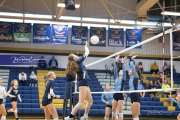 Volleyball Enka at TC Roberson  BRE_2327