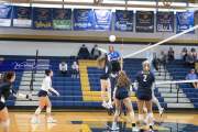 Volleyball Enka at TC Roberson  BRE_2348