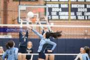 Volleyball Enka at TC Roberson  BRE_2378