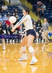 Volleyball Enka at TC Roberson  BRE_2478