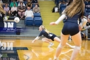 Volleyball Enka at TC Roberson  BRE_2490