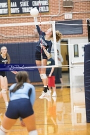Volleyball Enka at TC Roberson  BRE_2560