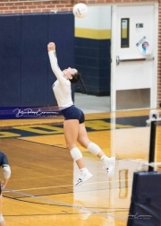Volleyball Enka at TC Roberson  BRE_2609