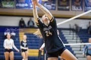 Volleyball Enka at TC Roberson  BRE_2674