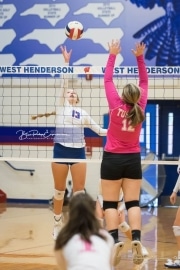 Volleyball Tuscola at West henderson_BRE_4579