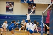 Volleyball Tuscola at West henderson_BRE_4634