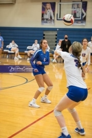 Volleyball Tuscola at West henderson_BRE_4646