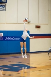 Volleyball Tuscola at West henderson_BRE_4654