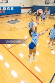 Volleyball Tuscola at West henderson_BRE_4893