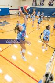 Volleyball Tuscola at West henderson_BRE_4895