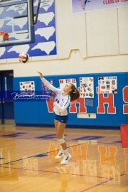 Volleyball Tuscola at West henderson_BRE_5081