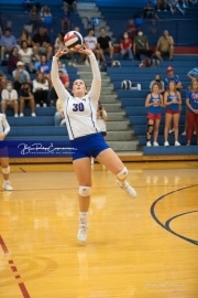 Volleyball Tuscola at West henderson_BRE_5089