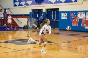 Volleyball Tuscola at West henderson_BRE_5095