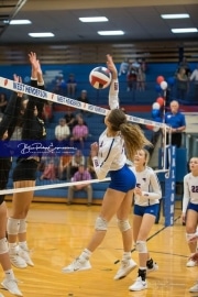 Volleyball Tuscola at West henderson_BRE_5110