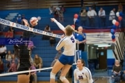 Volleyball Tuscola at West henderson_BRE_5120